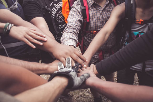 Gestión de comunidades de nicho en redes sociales